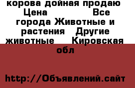 корова дойная продаю › Цена ­ 100 000 - Все города Животные и растения » Другие животные   . Кировская обл.